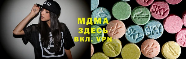 индика Архангельск