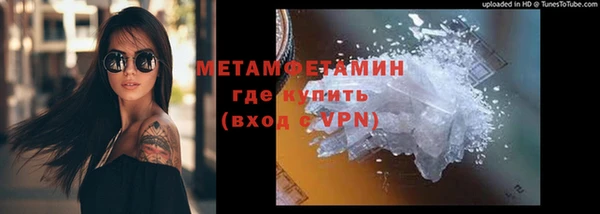 индика Архангельск