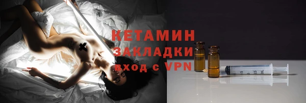 индика Архангельск