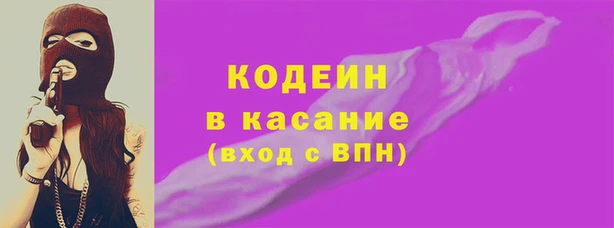 индика Архангельск