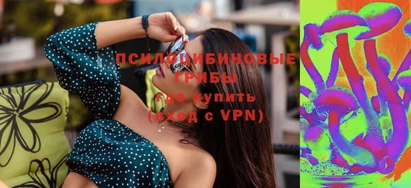 дмт Радужный