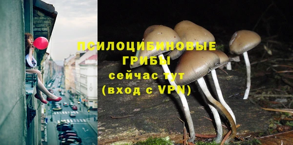 амф Пыталово