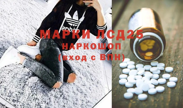 индика Архангельск