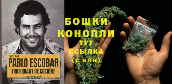 гидропоника Нижний Тагил