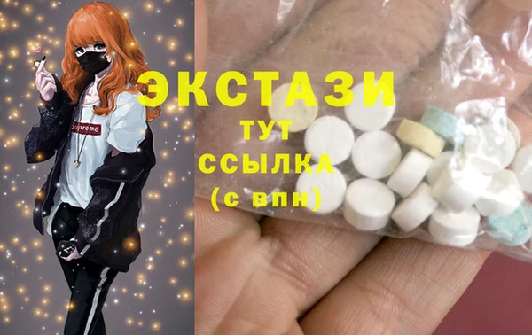 индика Архангельск