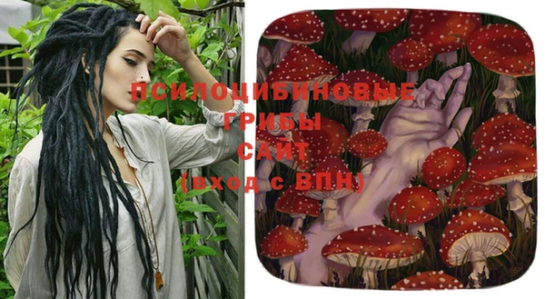 индика Архангельск